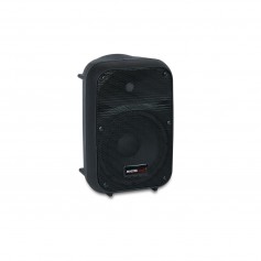 Diffusore attivo 2 via bi-amplificato woofer 8"